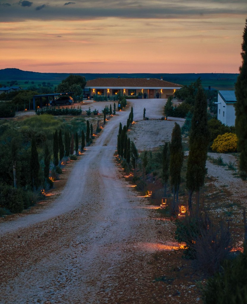 Celebración al aire libre en la finca